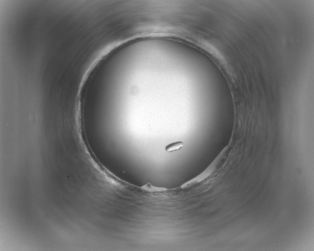 X0000071951472200607212214