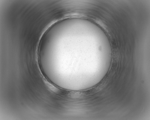 X0000071951474200607212214