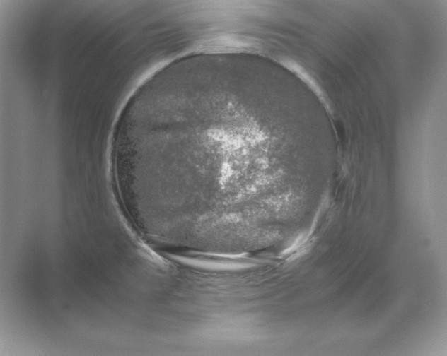 X0000071951477200607212213