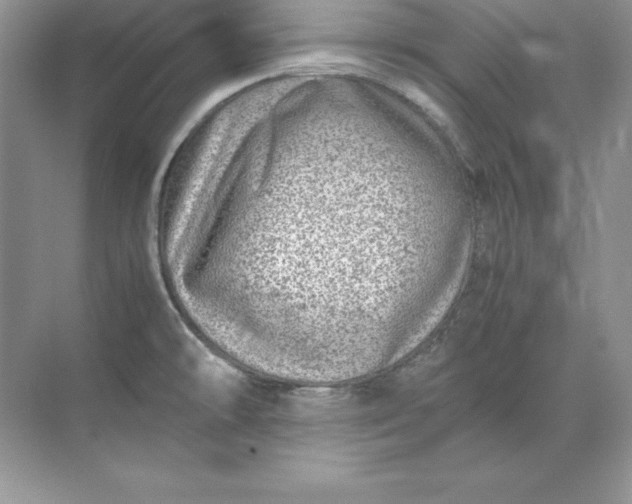 X0000071951478200607212213