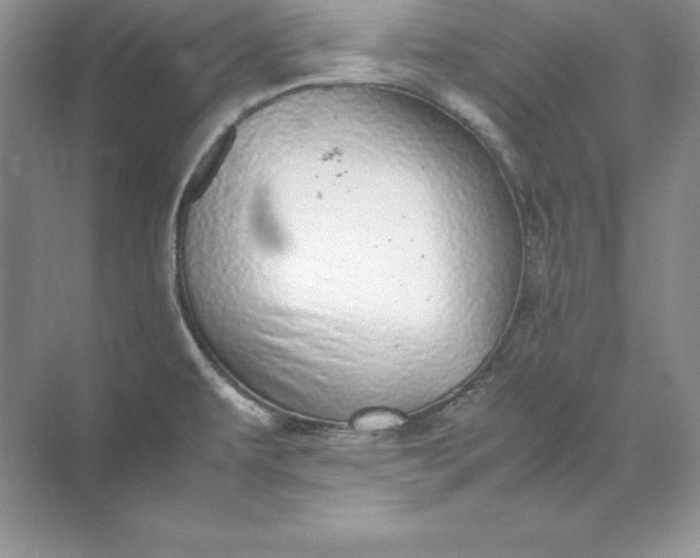 X0000071951479200607212213