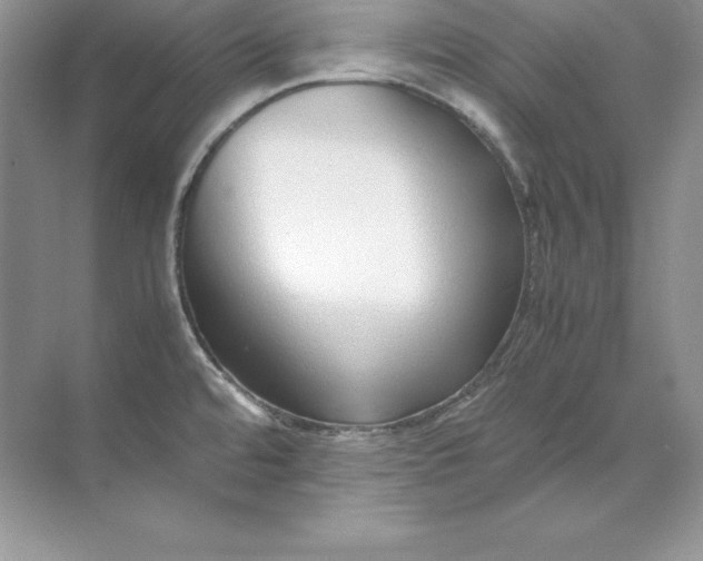 X0000071951480200607212213