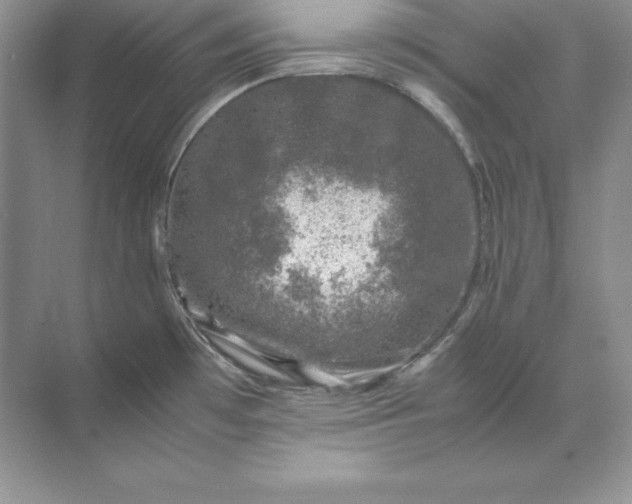 X0000071951481200607212213