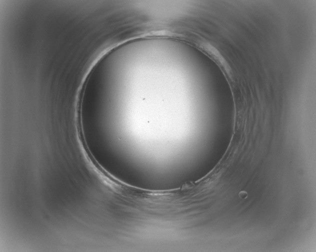 X0000071951483200607212213