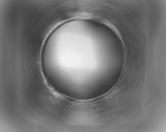 X0000071951488200607212213