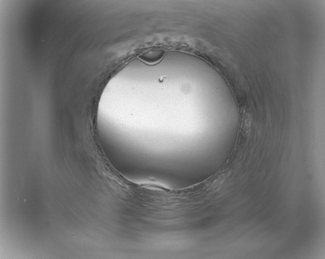 X0000071951489200607212212