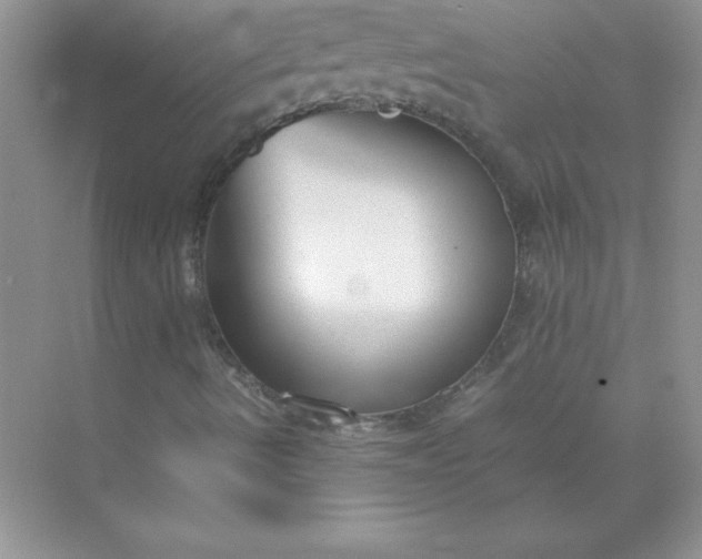 X0000071951490200607212212