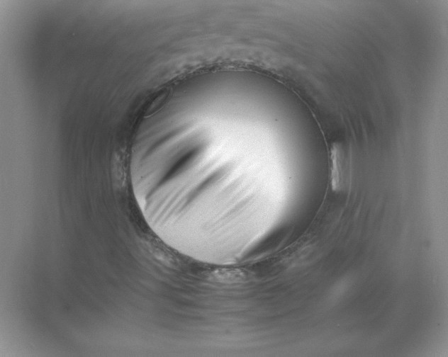 X0000071951491200607212213