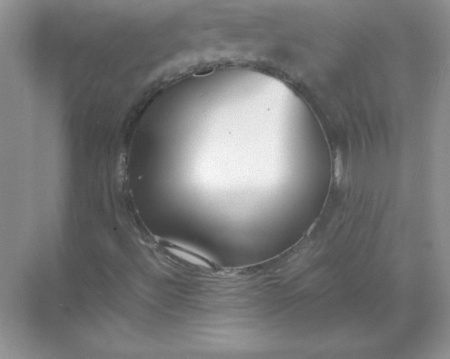 X0000071951492200607212213