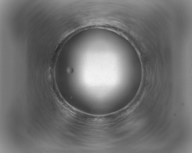 X0000071951497200607212213