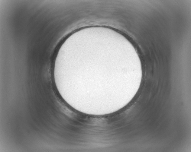 X0000071951498200607212213