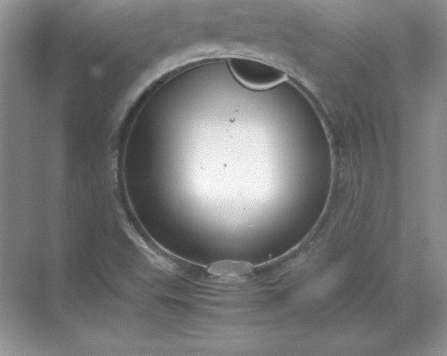 X0000071951503200607212213