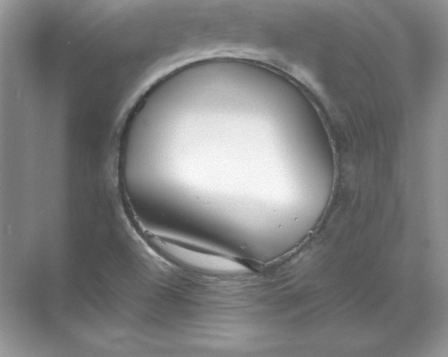 X0000071951504200607212213