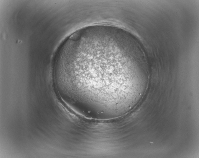 X0000071951506200607212213