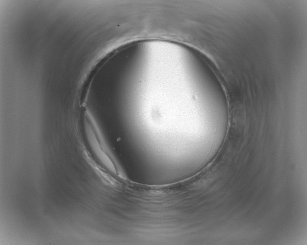 X0000071951507200607212213