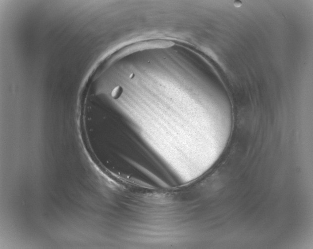 X0000071951508200607212213