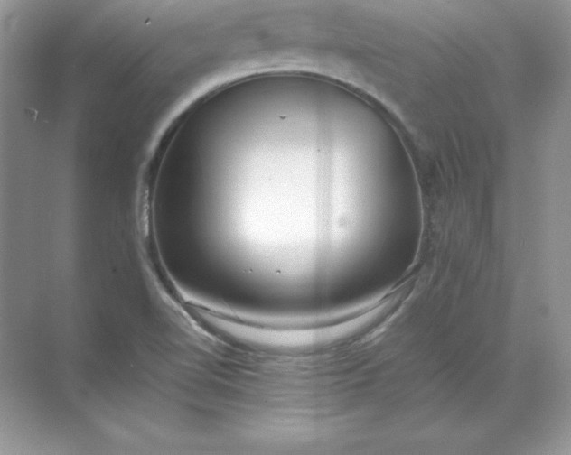 X0000071951510200607212213