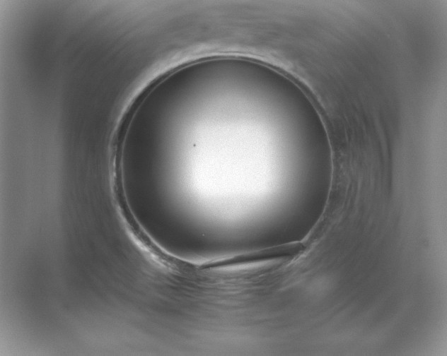 X0000071951511200607212213