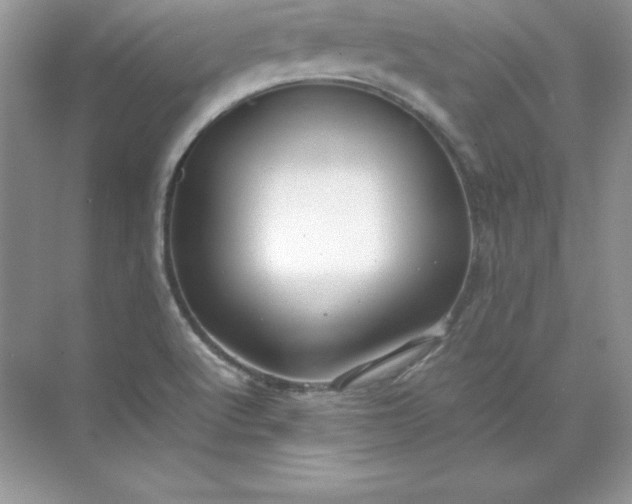 X0000071951512200607212213