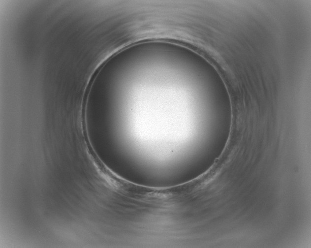 X0000071951513200607212213