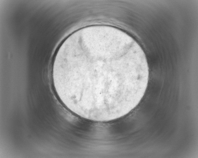 X0000071951514200607212213