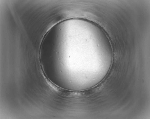 X0000071951521200607212213