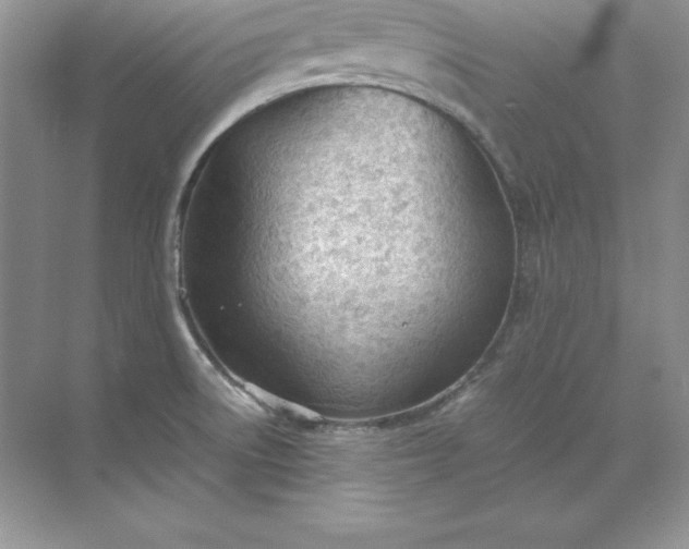 X0000071951522200607212213