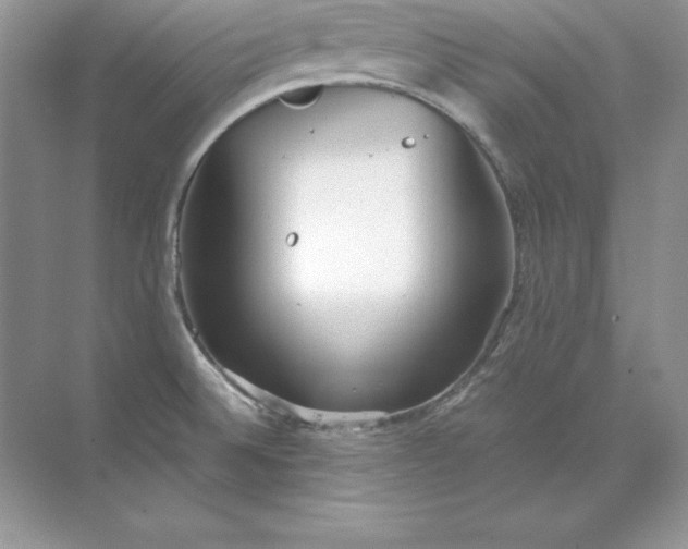 X0000071951524200607212213