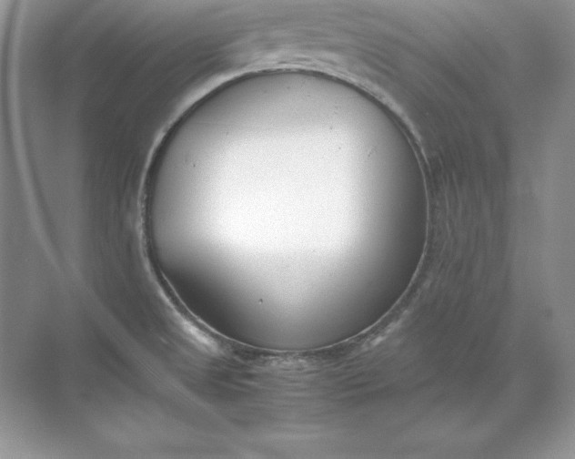 X0000071951525200607212213