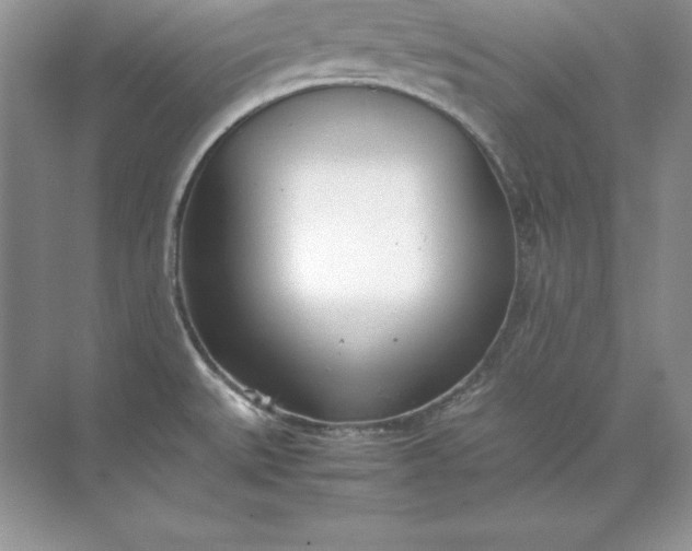 X0000071951527200607212213