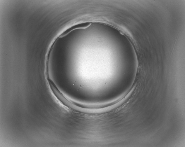 X0000071951528200607212213