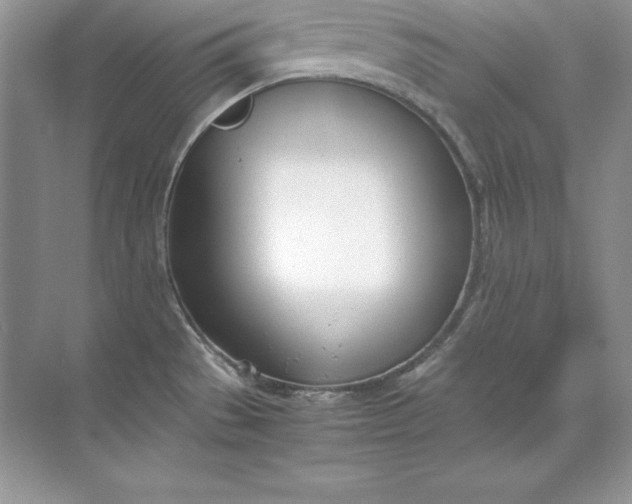 X0000071951529200607212213