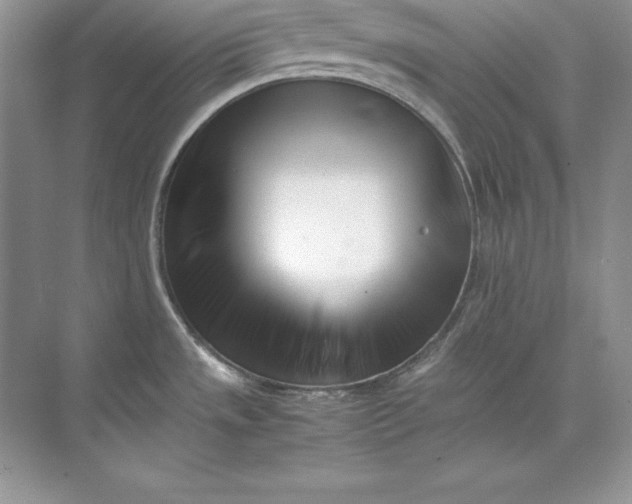 X0000071951533200607212213