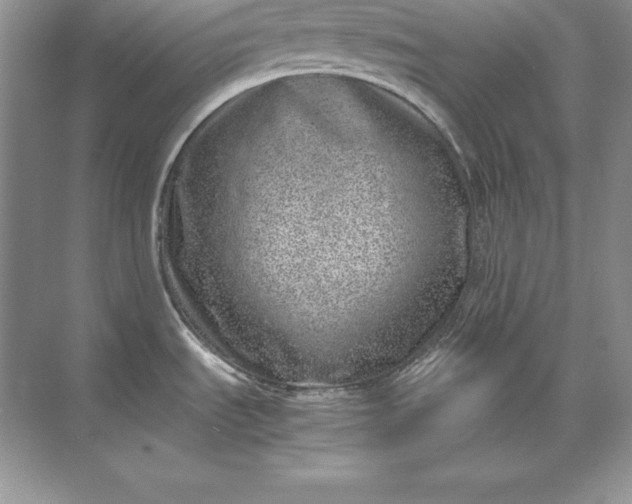 X0000071951535200607212213