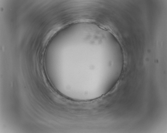 X0000071950001200607282020