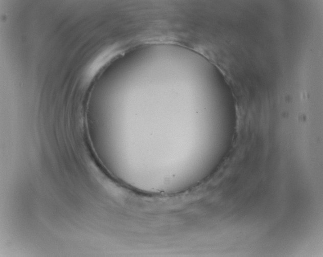 X0000071950005200607282020