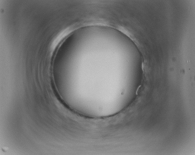 X0000071950007200607282020