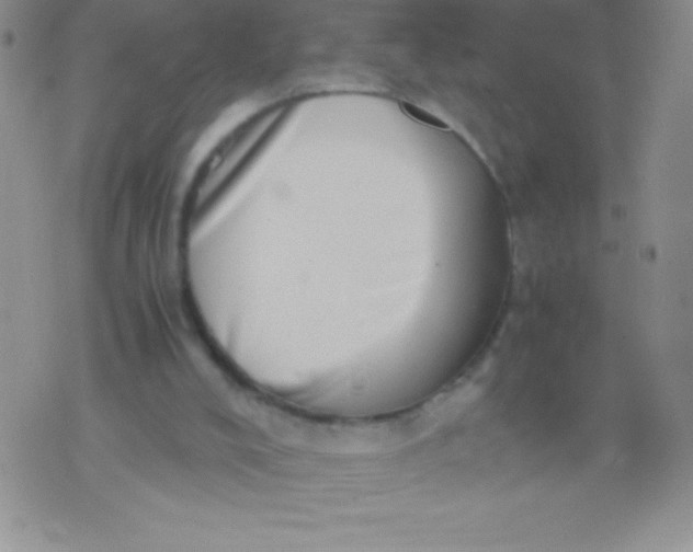 X0000071950008200607282020