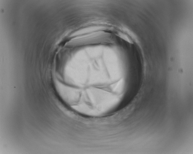 X0000071950009200607282020