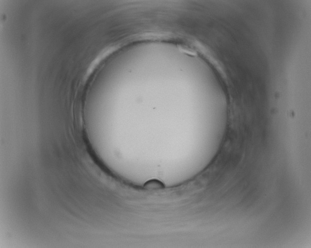 X0000071950011200607282020