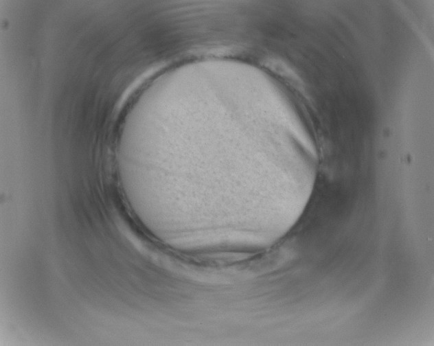 X0000071950012200607282020