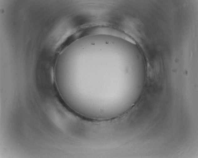 X0000071950013200607282020