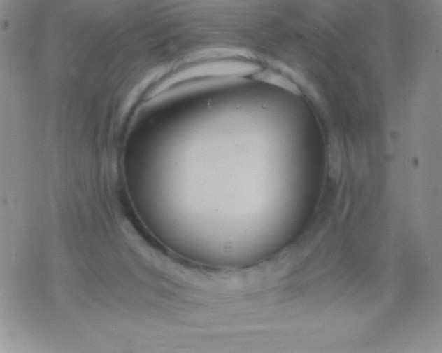 X0000071950015200607282020