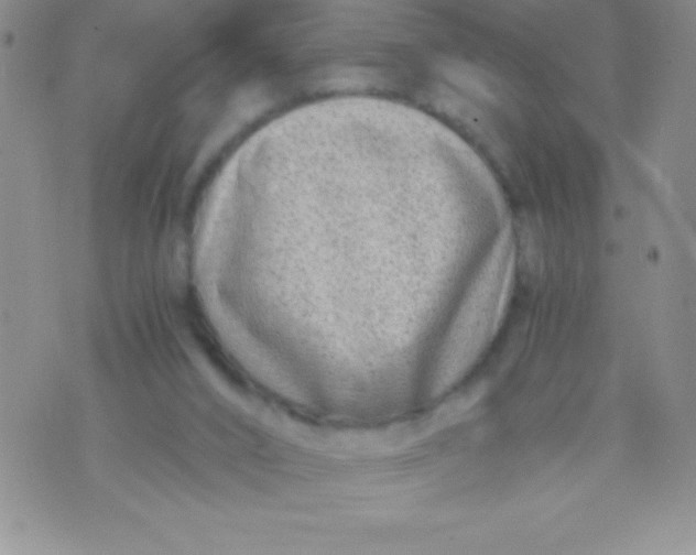 X0000071950016200607282020