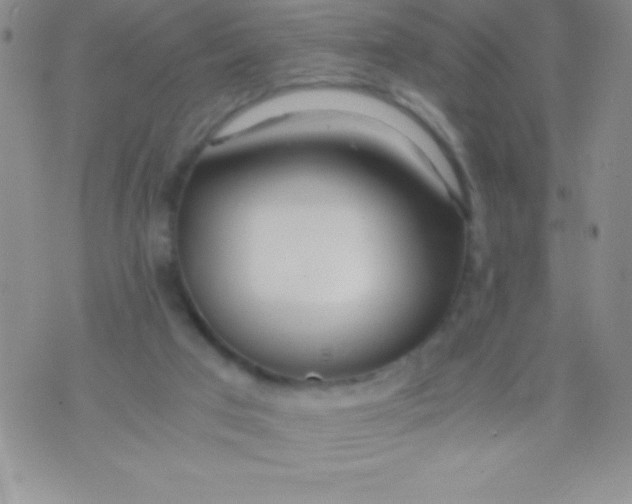 X0000071950017200607282020