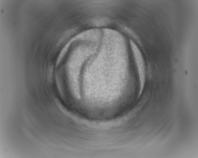 X0000071950018200607282020