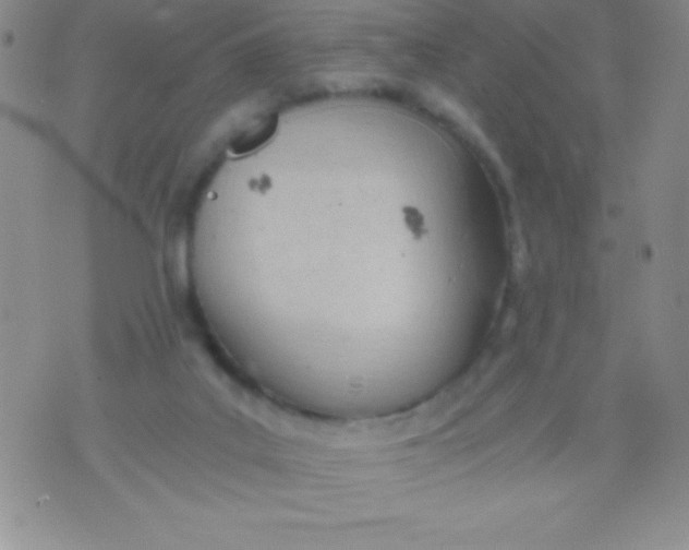 X0000071950019200607282019