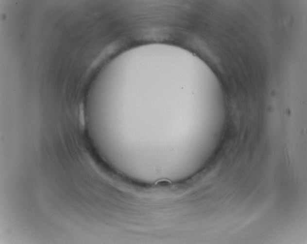 X0000071950020200607282019