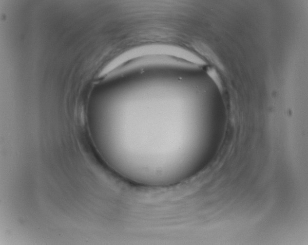 X0000071950021200607282019