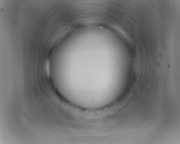 X0000071950022200607282019